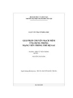 Giải pháp chuyển mạch mềm ứng dụng trong mạng viễn thông thế hệ sau 