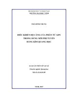 Điều khiển độ căng của phân tử ADN trong dung môi phi tuyến bằng kìm quang học (LA tiến sĩ)