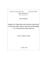 Nghiên cứu hình thái tổn thương và kết quả điều trị gãy kín mâm chày loại Schatzker V và VI bằng kết xương nẹp vít (LA tiến sĩ)