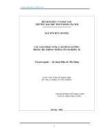 Các giải pháp nâng cao dung lượng trong hệ thống thông tin di động 3g 