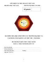 DE THI VA DAP AN PHAN THUC HANH CAC BANG a,b,c (1)