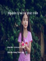 Nguyên lý về sự phát triển