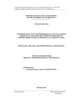 Synthesis and catalytic properties of catalyst system based on ceo2 zro2 for the complete oxidation of hydrocarbon to treat motorcycles exhaust gases 