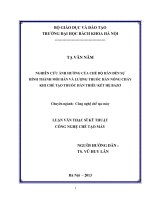 Nghiên cứu ảnh hưởng của chế độ hàn đến sự hình thành mối hàn và lượng thuốc hàn nóng chảy khi chế tạo thuốc hàn thiêu kết hệ bazơ  