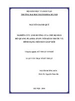 Nghiên cứu ảnh hưởng của chế độ hàn hồ quang plasma (PAW) tới kích thước và hình dạng mối hàn giáp mối