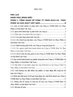 Tổ chức hoạt động kiểm soát nội bộ tại Công ty  TNHH Dịch Vụ Thực Phẩm và Giải Khát Việt Nam