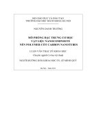 Mô phỏng đặc trưng cơ học vật liệu nanocomposite nền polymer cốt carbon nanotubes 