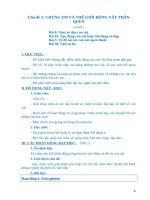 Giáo án mĩ   thuật đan mạch lớp 4 theo chủ đề  mới nhất 