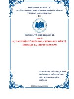 SỰ CAN THIỆP VÔ HIỆU HÓA, CHÍNH SÁCH TIỀN TỆ, HỘI NHẬP TÀI CHÍNH TOÀN CẦU