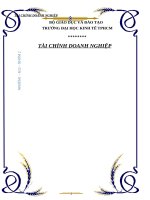 CẤU TRÚC VỐN VÀ GIÁ TRỊ DOANH NGHIỆP BẰNG CHỨNG THỰC NGHIỆM TẠI NIGERIA ỨNG DỤNG TẠI VIỆT NAM