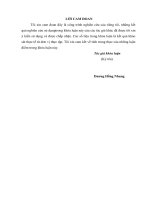 Kế toán doanh thu, chi phí và xác định kết quả kinh doanh tại công ty cổ phần xây lắp và phát triển nhà HUD3.3