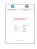 Chiến lược tiếp thị của tỉnh Bắc Giang, Việt Nam. (LA tiến sĩ)