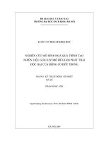 Nghiên cứu mô hình hóa quá trình tạo nhiên liệu giàu hydro để giảm phát thải độc hại của động cơ đốt trong 