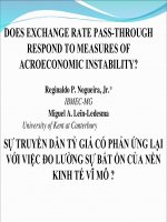 HIỆU ỨNG TRUYỀN DẪN CỦA TỶ GIÁ CÓ PHẢN ỨNG LẠI VỚI SỰ ĐO LƯỜNG BẤT ỔN  ĐỊNH NỀN KINH TẾ VĨ MÔ