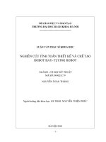 Nghiên cứu tính toán thiết kế và chế tạo robot bay   flying robot 