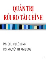 Quản trị rủi ro tài chính 