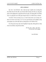 Tính toán động lực học và thiết kế điều khiển hệ tele robot SMSS trên kênh truyền thông có trễ  