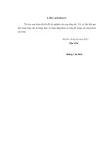 Nghiên cứu ảnh hưởng của xăng sinh học có tỷ lệ cồn lớn tới tính năng động cơ ô tô phun xăng điện tử 