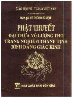 Phật thuyết đại thừa vô lượng thọ kinh