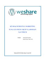 Ke hoach digital marketing dịch vụ edomain tại TP HCM