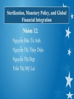 SỰ CAN THIỆP VÔ HIỆU HÓA, CHÍNH SÁCH TÀI TIỀN TỆ VÀ HỘI NHẬP TÀI CHÍNH TOÀN CẦU