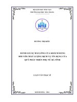 Đánh giá sự hài lòng của người dân đối với dịch vụ hành chính công một cửa điện tử hiện đại tại ủy ban nhân dân thành phố phan rang   tháp chàm, tỉnh ninh thuận 