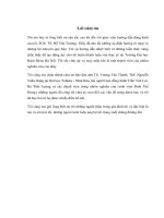 Ảnh hưởng của thành phần vật liệu PZT đến hệ số kỳ dị ứng suất trong 