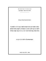 Nghiên cứu đặc điểm một số gen điều hoà sinh tổng hợp anthocyanin liên quan đến tính chịu hạn của cây ngô nếp địa phương (LA tiến sĩ)