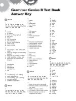 Grammar genius 2 tests keys