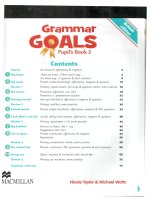 grammar goals 2 pupil s book