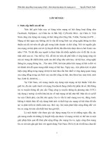 Phát hiện cộng đồng trong mạng xã hội khả năng ứng dụng cho mạng go vn  