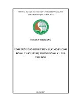 ỨNG DỤNG MÔ HÌNH THỦY LỤC MÔ PHỎNG DÒNG CHẢY LŨ HỆ THỐNG SÔNG VU GIA  THU BỒN