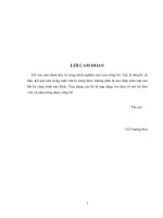 Hệ logic mờ loại hai dựa trên đại số gia tử và ứng dụng  