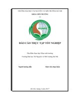 BÁO CÁO THỰC TẬP TỐT NGHIỆP MÔI TRƯỜNG TẠI Trường Đại học Tài nguyên và Môi trường Hà Nội