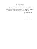 Xử lý ảnh radar đa phân giải bằng phương pháp curvelet  