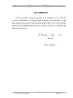 Nghiên cứu các tính chất cơ, nhiệt và hình thái học của copolyme ghép styren với cao su thiên nhiên 