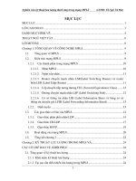 Nghiên cứu kỹ thuật lưu lượng thích ứng trong mạng MPLS  