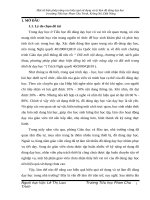 Một số biện pháp nâng cao hiệu quả sử dụng và tự làm đồ dùng dạy học  ở trường Tiểu học Phan Chu Trinh, Krông Nô, Đắk Nông