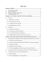 VIEC LAM TRONG QUA TRINH DO THI HOA TAI VIET NAM