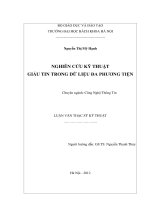 Nghiên cứu kỹ thuật giấu tin trong dữ liệu đa phương tiện 