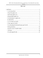 SKKN: Một số biện pháp nhằm nâng cao chất lượng các hoạt động Đội trong trường  Tiểu học.