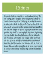 SLIDE NIÊN LUẬN Đánh giá hiện trạng khai thác sử dụng nước TẠI huyện Thường Tín