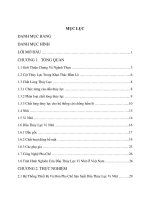 Nghiên cứu quá trình pha chế dầu thủy lực vi nhũ trong khai thác than hầm lò