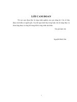 Mô hình hóa thông tin môi trường và ứng dụng cho các bài toán môi trường 