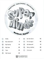 super minds workbook starter  