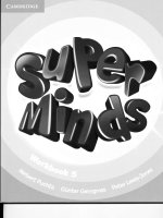 super minds 5 workbook  pdf 