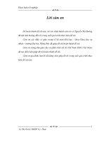 Phân tích và định lượng thành phần hóa học của tinh dầu thân rễ nghệ vàng ở Thanh Hóa