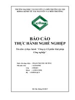 BÁO CÁO THỰC HÀNH NGHỀ NGHIỆP kinh tế tại Công ty Cổ phần Giải pháp  Công nghiệp