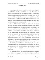 Hoàn thiện kế toán tiêu thụ hàng hoá và xác định kết quả tiêu thụ hàng hoá tại công ty TNHH thương mại và Dịch vụ Tin học canny