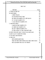 Đề tài NCKHSPƯD: CỦNG CỐ BÀI HỌC TRONG PHÂN MÔN ĐẠI SỐ 8 BẰNG CÁCH TỔ CHỨC TRÒ CHƠI ĐỂ NÂNG CAO KẾT QUẢ HỌC TẬP CỦA HỌC SINH TRƯỜNG THCS NÂM N’ĐIR